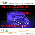 SMD 5050 Non Waterproof UV 365nm Led Flexible Strip Black Light for Detecting Money